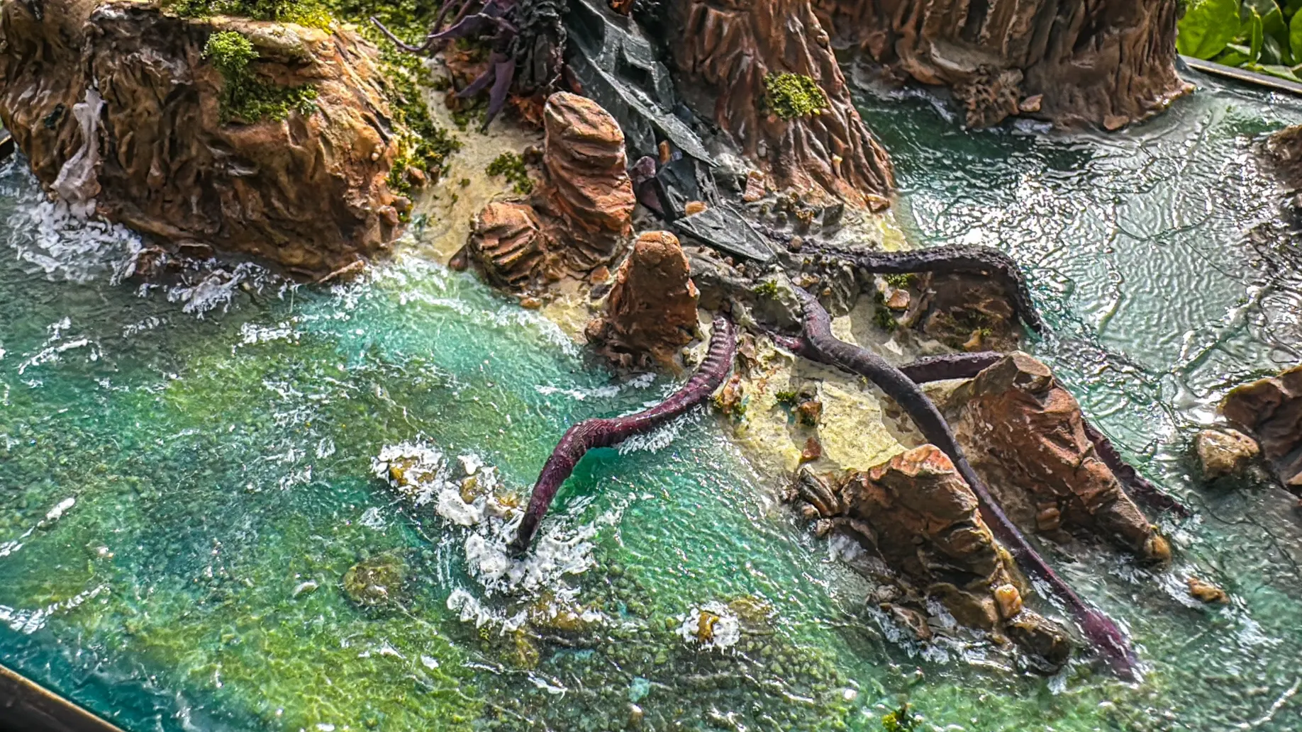 Nautiloid Crash, starting area