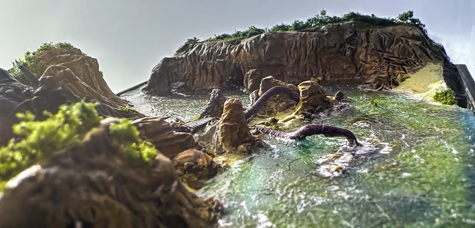 Nautiloid Crash, starting area, photo 2 of 9